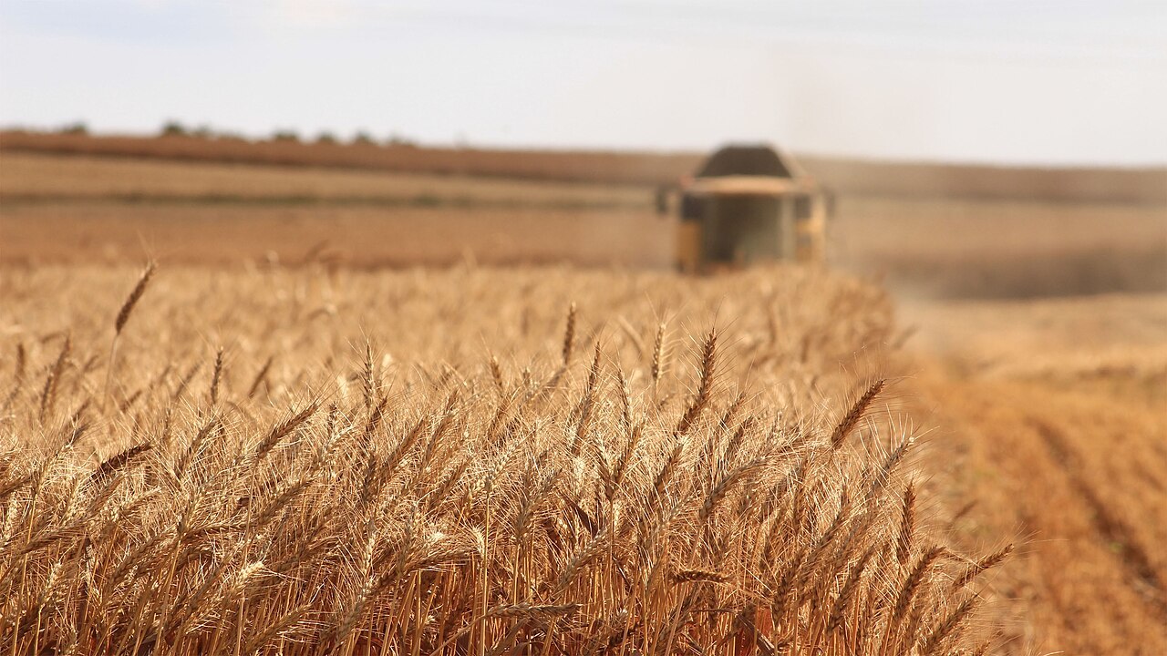 Мощный зерновой хаб создадут в Татарстане