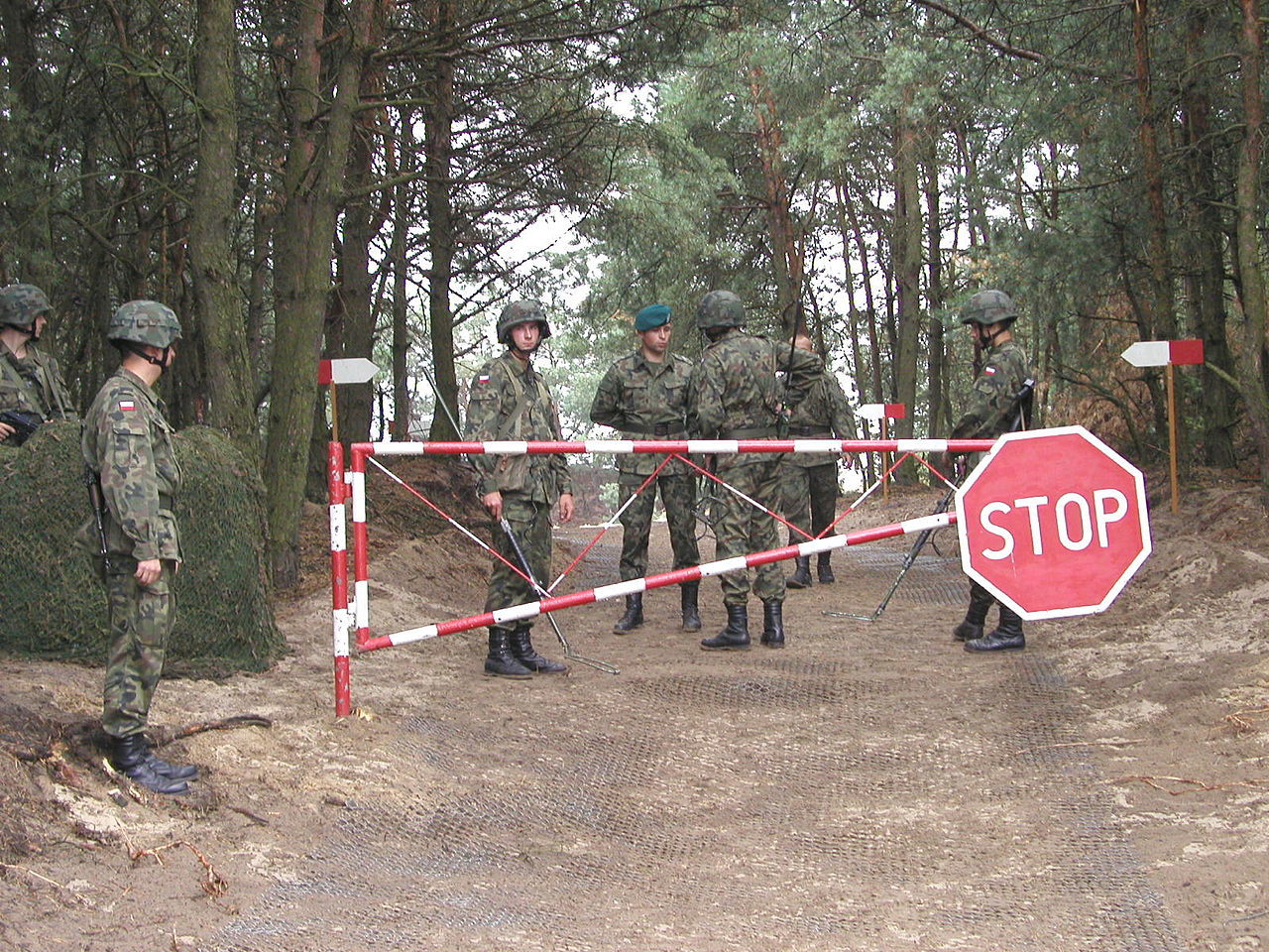 Белорусские пограничники на границе с Польшей обнаружили пятерых избитых беженцев