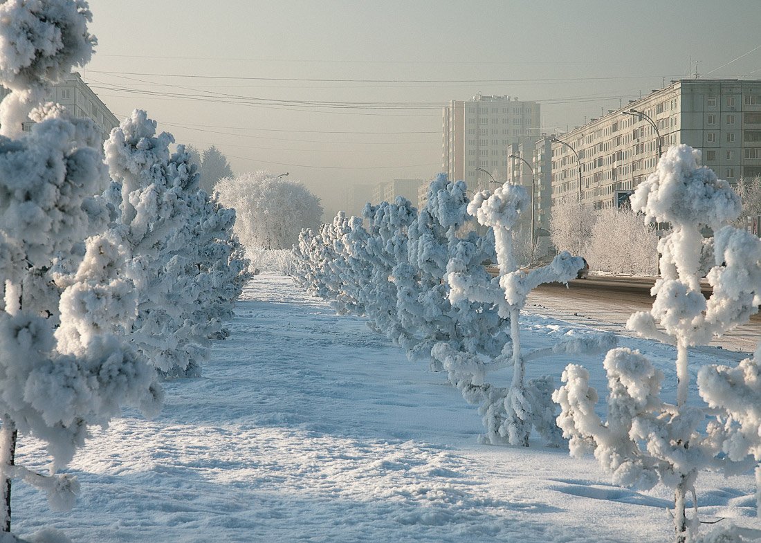 Ледяной дождь в Москве сменится аномальными морозами