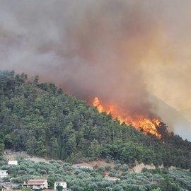 В Греции из-за пожаров на островах Кос, Хиос, Крит и Лесбос эвакуированы сотни туристов