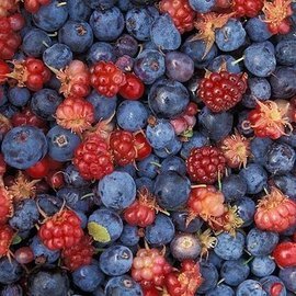 Эксперт Балашова рассказала, какой способ поможет сохранить витамины в ягодах